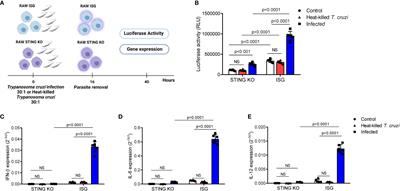 STING Signaling Drives Production of Innate Cytokines, Generation of CD8+ T Cells and Enhanced Protection Against Trypanosoma cruzi Infection